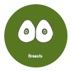 Breasts